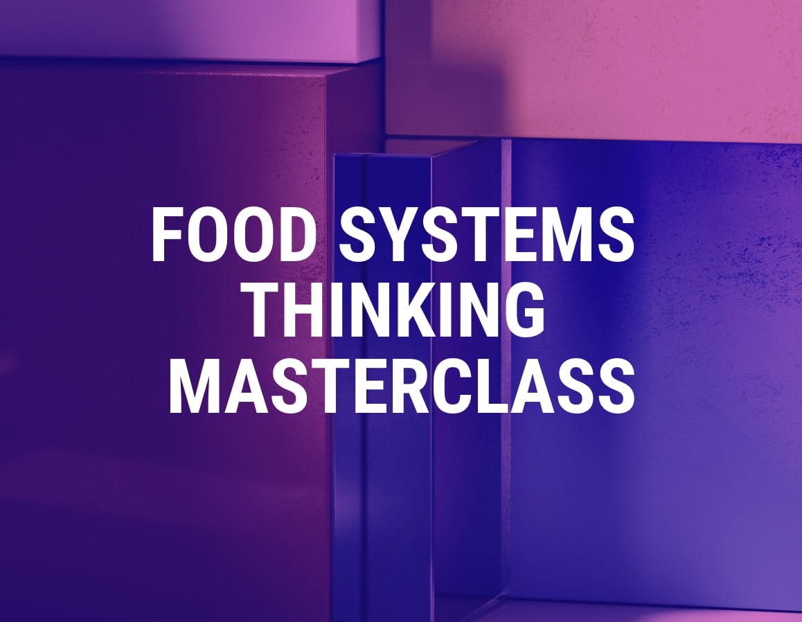 food-systems-thinking-masterclass-2