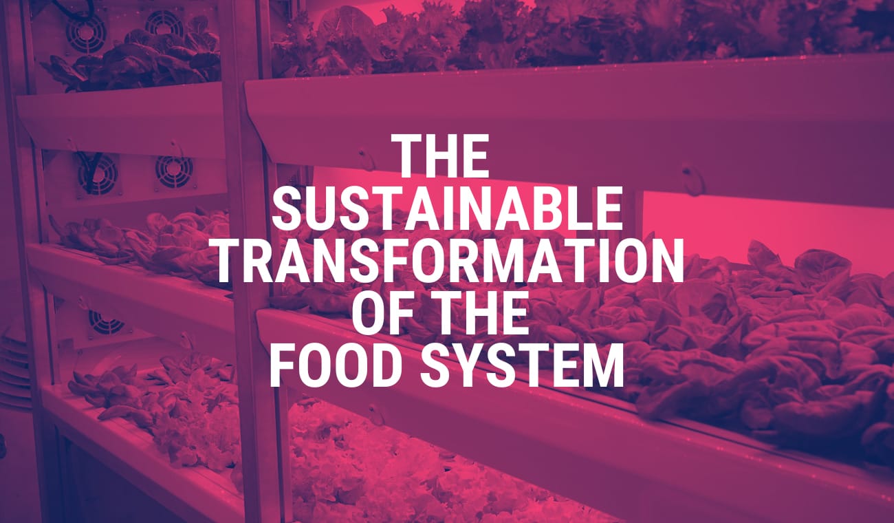 CPD Certified: The Sustainable Transformation of the Food System Masterclass
